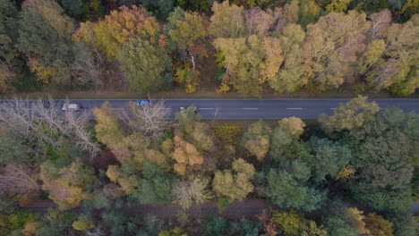 Top-down-view-of-cars-driving-on-a-road-flanked-by-colorful-autumn-trees