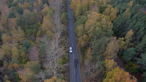 White-Car-Diving-Through-Provincial-Road-Along-The-Forest-In-Hel-Peninsula