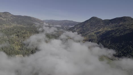 über-Dem-Blätterdach:-Drohnenperspektiven-Von-Wolkenverhangenen-Bewaldeten-Bergen