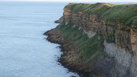 Static-shot-of-birds-flying-back-and-forth-to-a-eroded-cliff-in-Yorkshire