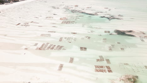Aerial-view-of-seaweed-farm-in-Zanzibar-with-clear-waters
