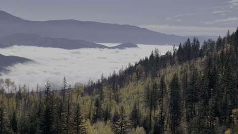Herbstmajestät:-Luftaufnahmen-Eines-Wolkenverhangenen-Tals-Inmitten-Bewaldeter-Gipfel