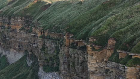 Static-shot-of-birds-nesting-on-the-side-of-a-cliff-protected-from-the-winds