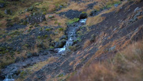Small-stream-flowing-between-the-landscape-of-land-and-vegetation