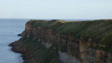 slow-panning-shot-of-birds-flying-around-a-ocean-cliff-face-in-Yorkshire