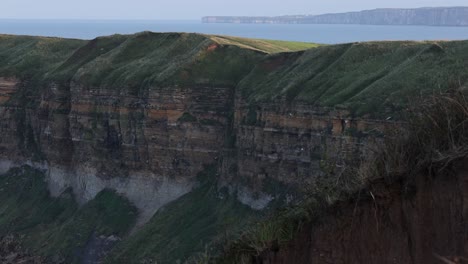 panning-shot-of-birds-flying-around-coastal-cliffs-in-Yorkshire-to-nest