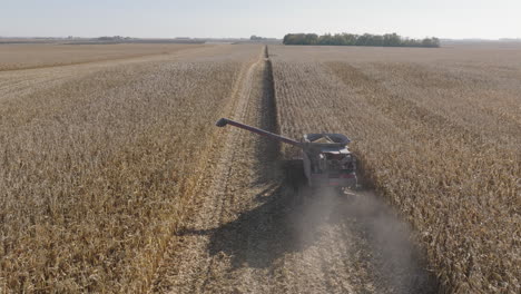 Aerial,-Combine-Harvester-Harvesting-Corn-Grain-Crops-on-a-Farm-field