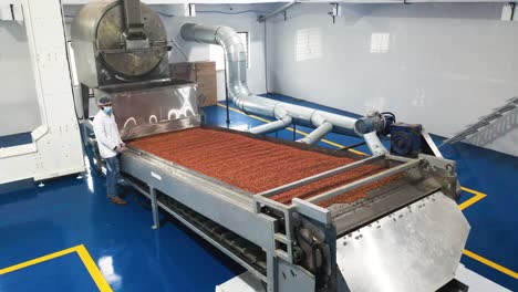 Eine-Erdnussbutterverarbeitungsanlage,-Die-Geröstete-Erdnusskerne-Zu-Erdnussbutter-Verarbeitet