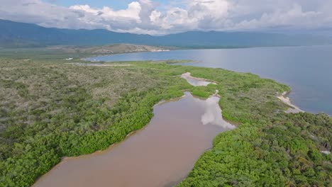 Panorama-Drohnenaufnahme-Eines-Braunen-Sees,-Umgeben-Von-Dichter-Mangrovenlandschaft-Und-Dem-Strand-Von-Tortuguero-Auf-Der-Insel-Der-Dominikanischen-Republik