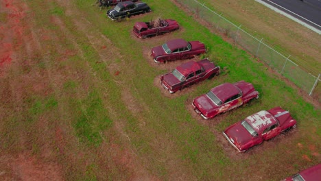 Aerial-drone's-forward-view-over-old-cars-buried-in-a-field