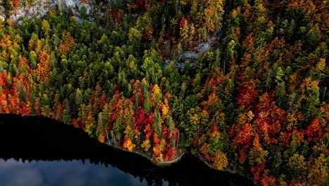 Aerial-tracking-shot-in-front-of-mountainside,-fall-colored-trees-at-a-Alpine-lake