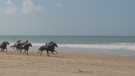 Professional-horse-race-on-the-beach-of-Zahara-de-los-Atunes,-Spain
