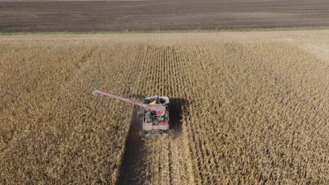Combine-Harvester-Harvesting-Corn-Crop-Farm-Field,-Aerial