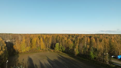 Ascending-On-Vibrant-Autumn-Birch-Trees-During-Sunset-In-Sunset-In-Sweden