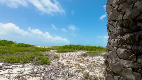 Palmenstruktur-Mit-Grasbewachsenem-Meerblick-Hintergrund,-Tropische-Insel-Los-Roques