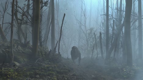 Scary-Dinosaur-silhouette-approach-in-spooky-foggy-woods,-fall-season