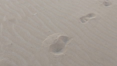 footprint-on-sand-at-beach