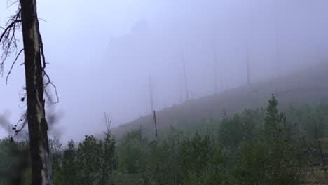 Foggy-misty-evening-showing-Mt
