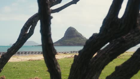 slow-motion-shot-of-Chinamans-Hat-Mokoli'i-in-Oahu-Hawaii-shot-through-some-tree-branches-with-the-beach-and-ocean-in-the-distance