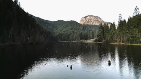 Mystik-Von-Lacul-Ghițu-–-Die-Ruhe-Eines-Rumänischen-Sees