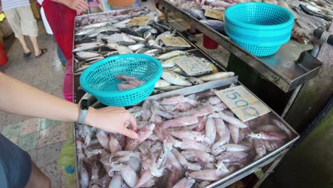 Vibrant-footage-showcasing-diverse-individuals-selecting-fresh-squid-at-a-bustling-wet-market,-highlighting-the-rich,-authentic-local-lifestyle-and-traditional-seafood-choices