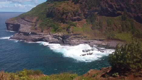 Gimbal-wide-panning-shot-of-seabirds-flying-around-the-rocky-cliffs-at-Kilauea-Point-on-the-Hawaiian-island-of-Kaua'i