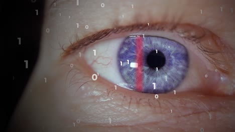 Escaneo-Ocular-Para-Datos-Biométricos-Como-Identificación-Digital,-Animación-De-Código-Binario-A-Partir-Del-Escaneo-De-Iris-Azul