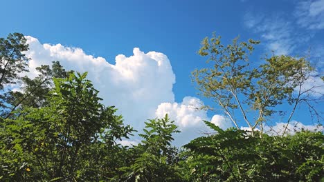 Zeitraffer-Von-Wolken-über-Dem-Tropischen-Wald