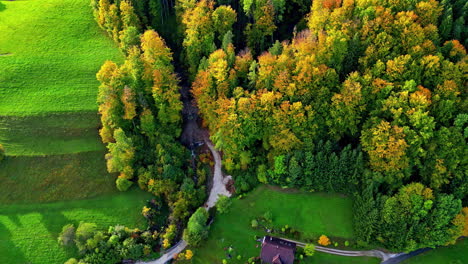 Aerial-view-of-autumn-foliage-in-the-mountain-forest-of-the-Austrian-Alps,-Europe