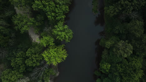 Bird's-Eye-View-Of-River-Surrounded-By-Lush-Green-Vegetation-In-Oronoco,-Minnesota,-USA---drone-shot
