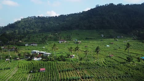 Vista-Aérea-De-Una-Hermosa-Granja-En-El-Valle-De-Sidemen-En-Bali-Con-Vistas-A-Las-áreas-Verdes-Cultivadas-Dispuestas-En-Terrazas-Con-Edificios-Agrícolas-Y-Palmeras-Dispersas-Y-Montañas-Boscosas
