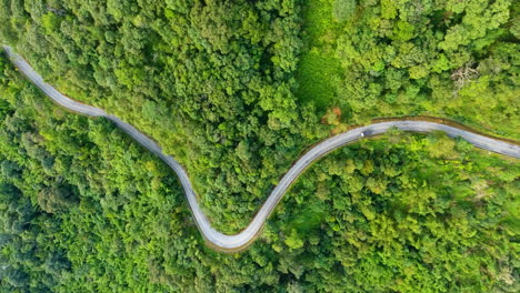 Aerial-view-of-road-on-mountains-and-forest.