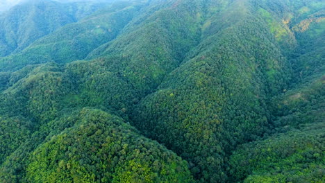 Aerial-view-of-mountain-and-forest.