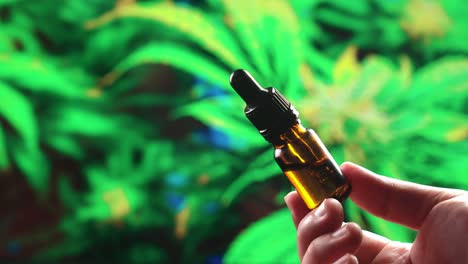 Closeup-hand-holding-medical-CBD-oil-bottle-from-legalized-cannabis-hemp-leaf.