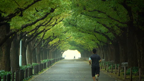 Hombre-Corriendo-Para-Hacer-Ejercicio-En-Un-Parque-En-Tokio.
