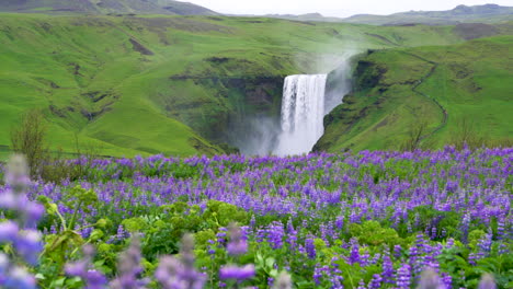 Skogafoss-Waterfall-in-Iceland-in-Summer.