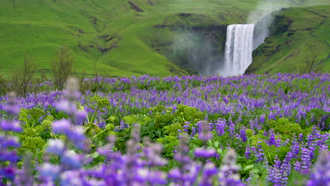 Skogafoss-Waterfall-in-Iceland-in-Summer.