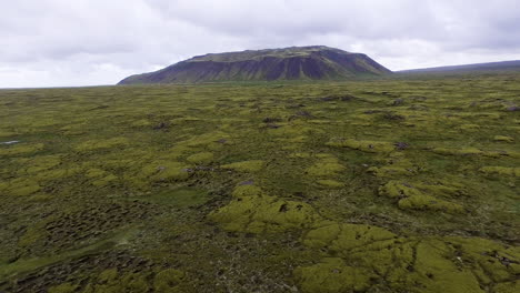 Luftaufnahme-Eines-Moosigen-Lavafeldes-In-Island.
