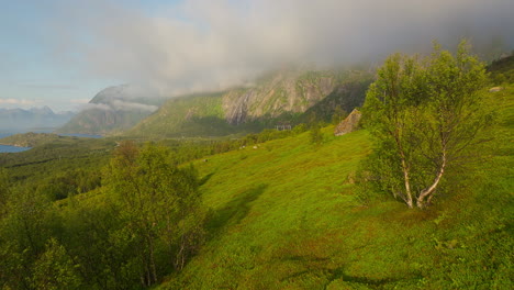 Mystical-summer-fog-drips-over-mountain-cliffs-above-green-rolling-hills-in-Lofoten-Norway