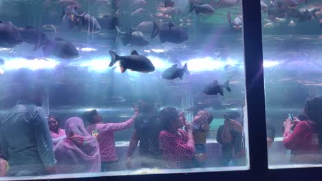 A-man-with-his-family-showing-fish-to-young-children-in-an-underwater-aquarium
