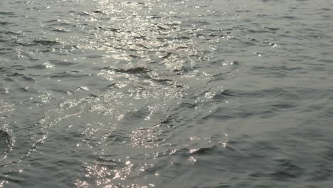 Serene-lake-as-the-camera-captures-a-detailed-shot-of-the-water's-surface,-adorned-with-delicate-ripples-and-waves