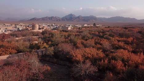 Castlr-town-of-Sarv-in-aqda-ardakan-Yazd-with-mud-brick-clay-houses-and-pomegranate-garden-orchard-in-autumn-colorful-season-of-harvest-red-ripe-delicious-fruit