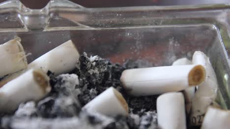 Close-up-of-cigarette-butts-in-a-glass-ash-tray
