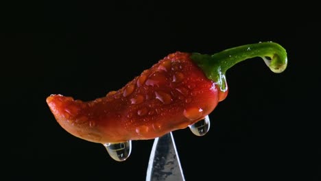 Fresh-red-chili-pepper-pinned-on-knife-with-water-droplets