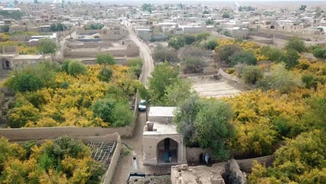 Iran-farmer-market-in-a-mudbrick-clay-building-desert-houses-in-Ardakan-Aqda-Sarv-village-life-down-town-harvest-season-of-pomegranate-fresh-fruits-colorful-autumn-fall-tree-leaves-in-Garden-orchard