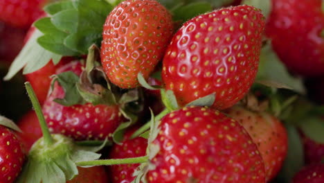 Frisch-Von-Hand-Gepflückte-Rote-Saftige-Erdbeeren,-Reife-Bio-Nahaufnahme,-Schieberegler-Für-Veganes-Essen