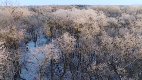 Winter's-aftermath-unfolds-as-a-drone-captures-a-Midwest-forest-transformed-into-a-snowy-haven-after-a-significant-blizzard