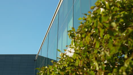Curved-glass-facade-of-a-modern-building-with-foliage-in-the-foreground-under-a-clear-sky