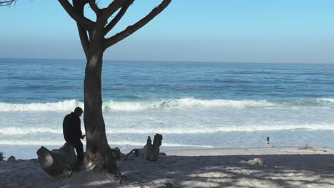 A-man-siting-under-the-tree-and-another-walking-on-a-sandy-beach-with-waves-behind-in-Carmel-by-the-Sea,-California