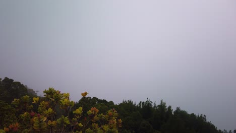 Gimbal-Schwenkaufnahme-Von-Dichtem-Nebel,-Der-Die-Na-Pali-Berge-An-Der-Spitze-Des-Waimea-Canyons-Auf-Der-Hawaiianischen-Insel-Kaua&#39;i-Bedeckt